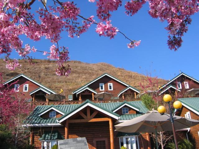 清境豐田桂林山莊民宿 Renai Bagian luar foto